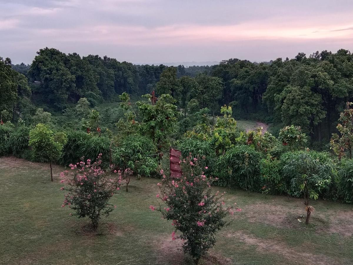 Aar Resort & Spa Jhājra Kültér fotó